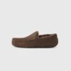 Ugg ASCOT - Slippers - Dusted Cocoa -Trade INN b6ff4a6704af4c12bafa26410ed0cf4b
