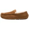 Ugg Ascot - Slippers - Cognac 1 Ugg Ascot - Slippers - Cognac -Trade INN f0b29fa0c3f64b78b1f6cda9f2ab2599 1