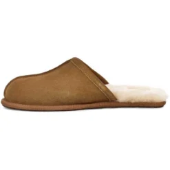 Ugg Scuff Slippers -Trade INN ugg scuff slippers 3